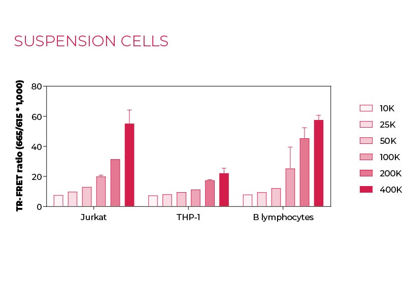 Total GAPDH Suspension cells