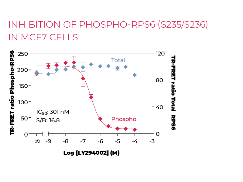 Inhibition of Phospho-RPS6 (S235/S236) in MCF7 cells