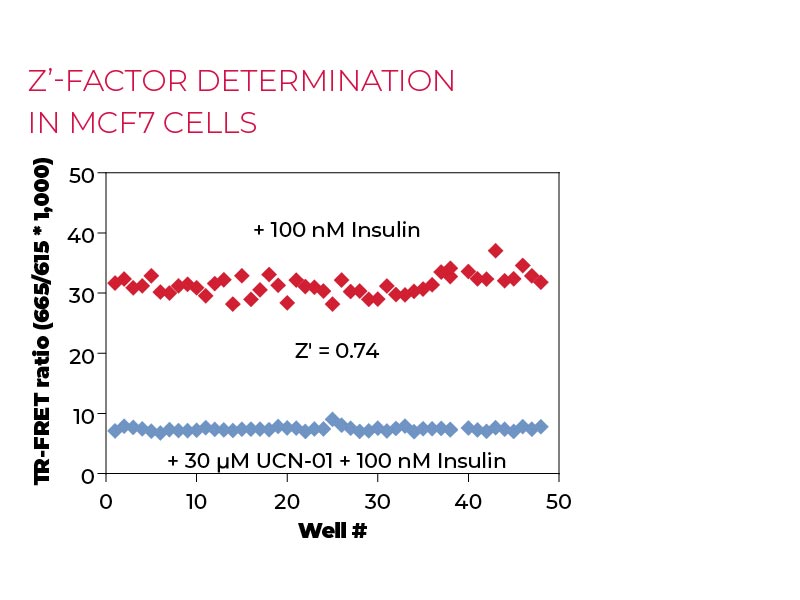 Z'-factor determination in MCF7 cells