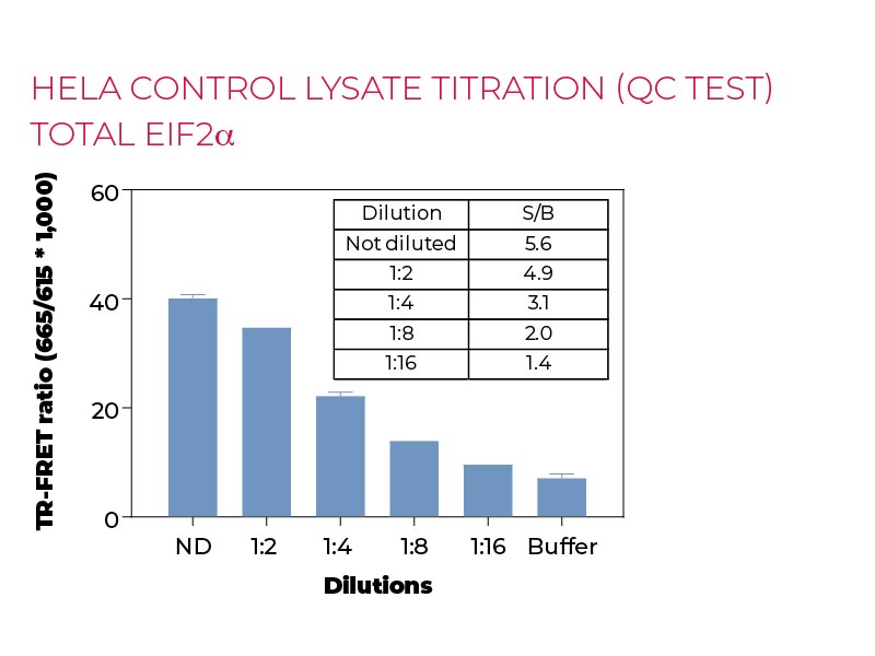 Hela control lysate titration (QC Test) TOTAL-eIF2a