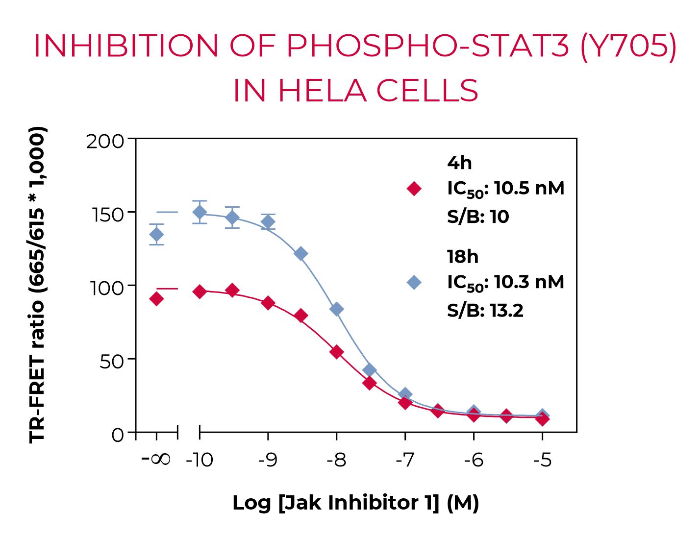 Inhibition of Phospho-STAT3 (Y705) in HeLa cells