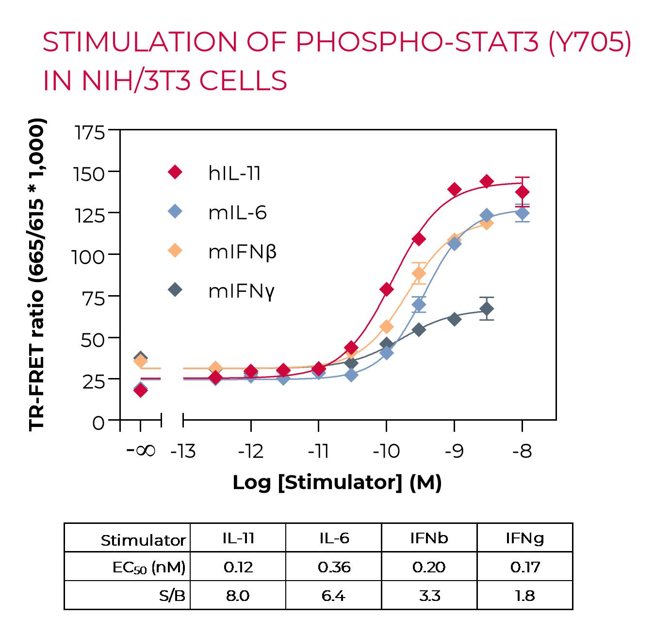 Phospho-STAT3 stimulation in NIH/3T3 cells