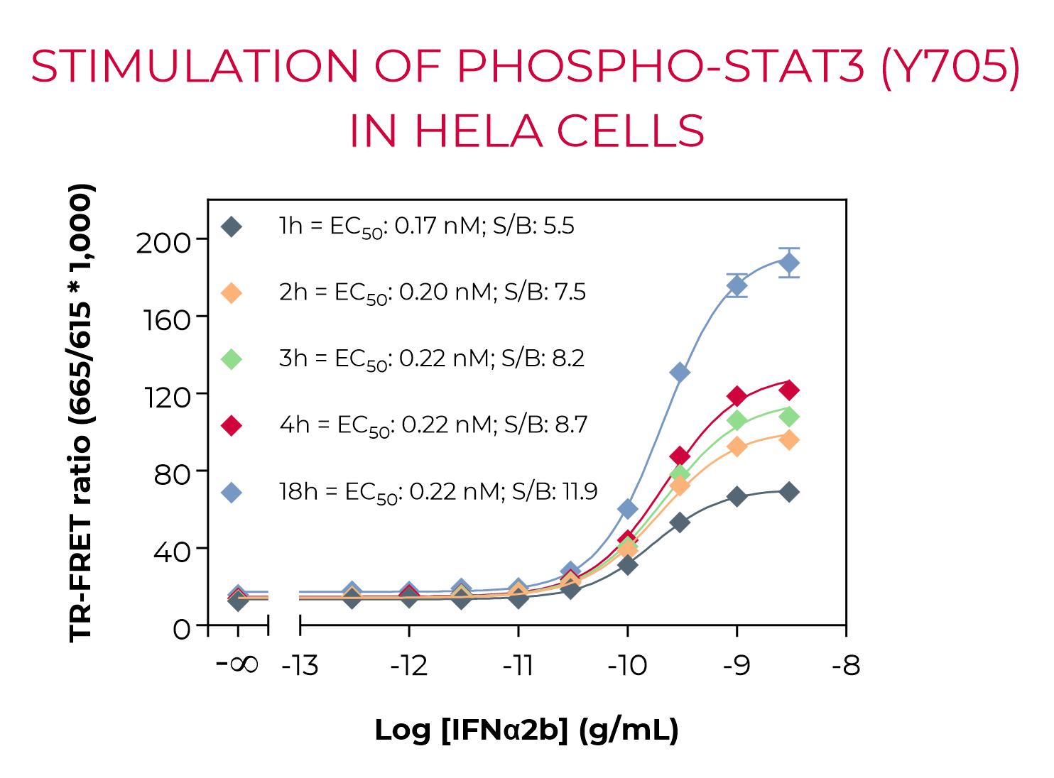 Stimulation of Phospho-STAT3 (Y705) in HeLa cells