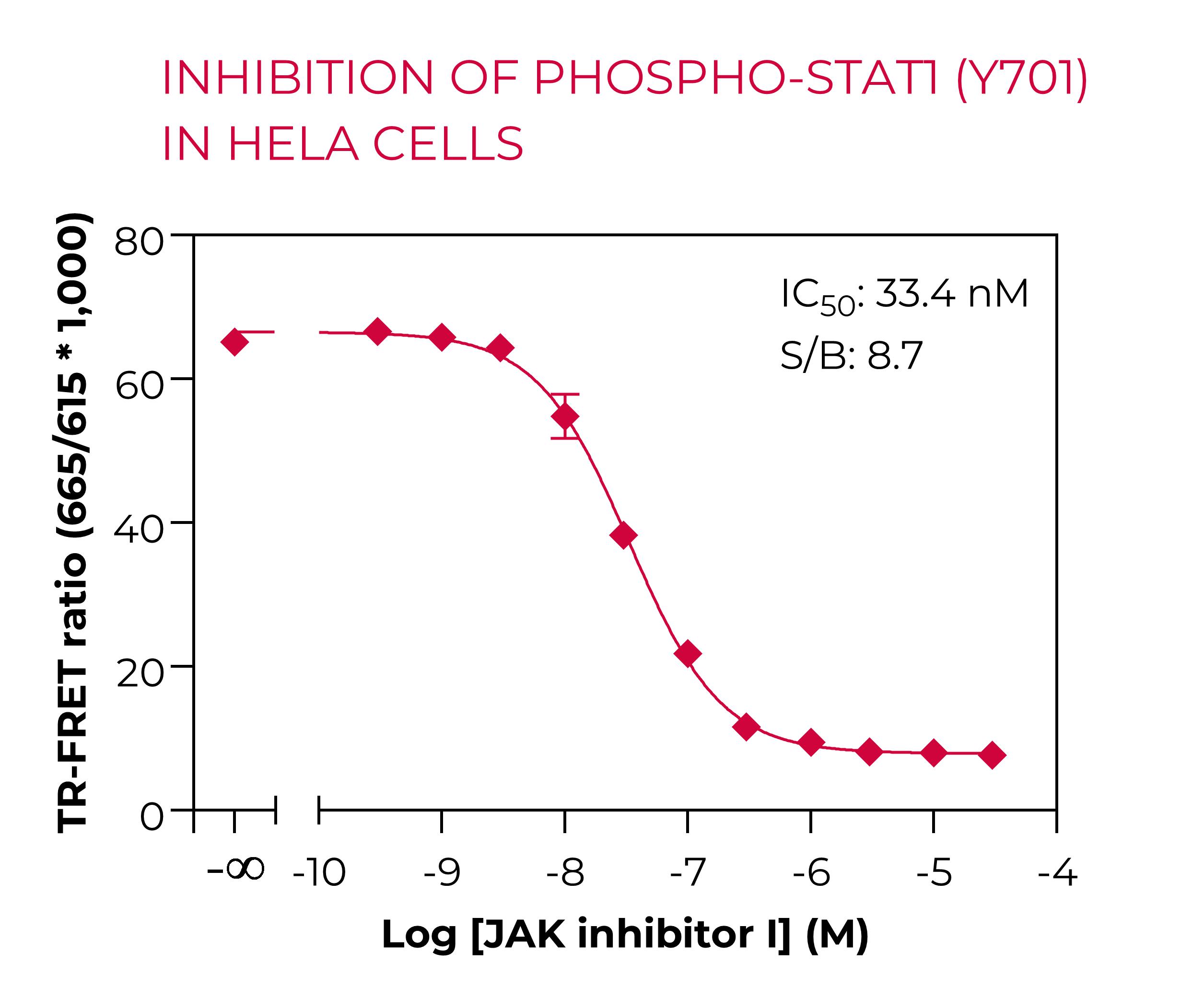 Inhibition of Phospho-STAT1 in HeLa cells