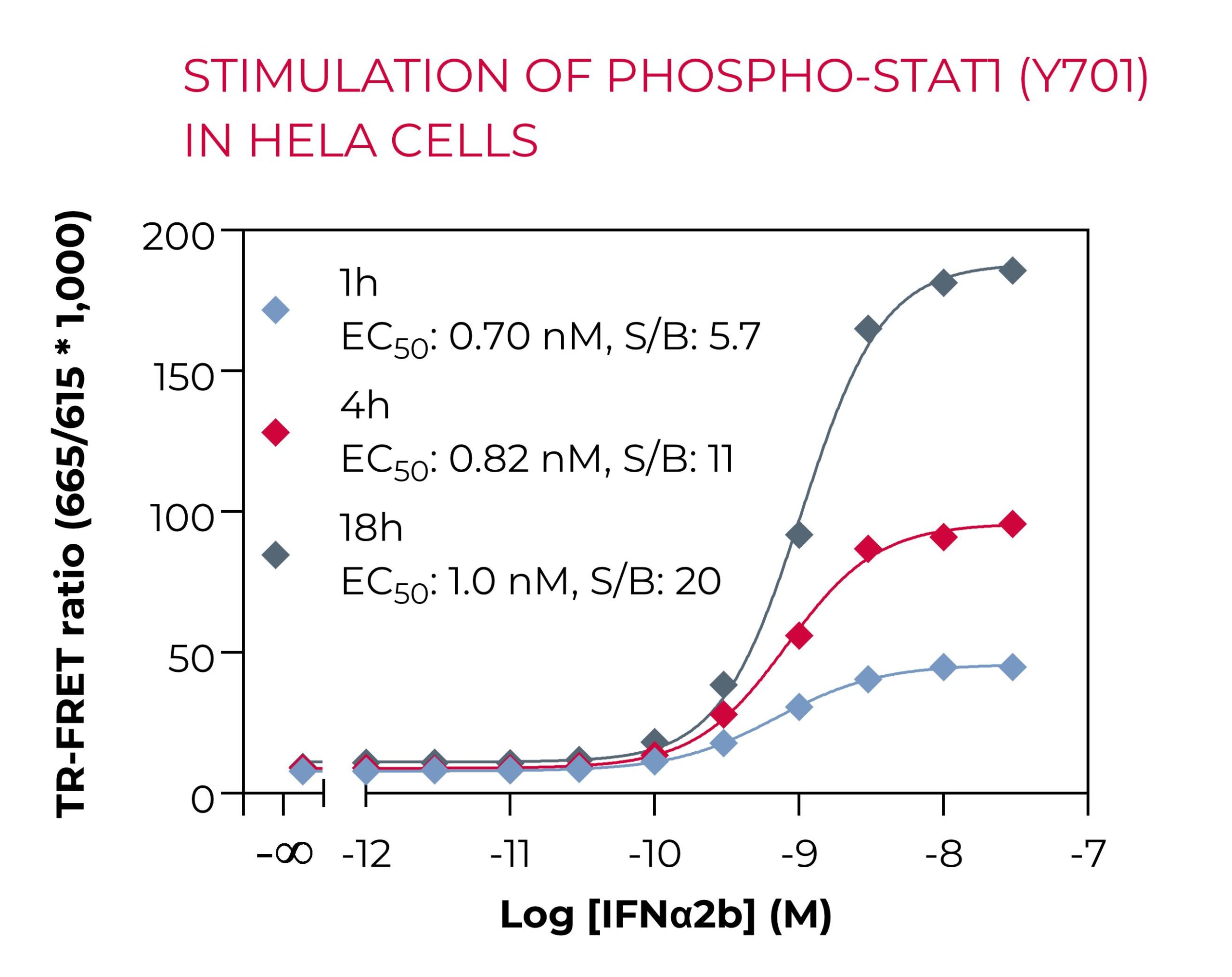 Stimulation of Phospho-STAT1 in HeLa cells