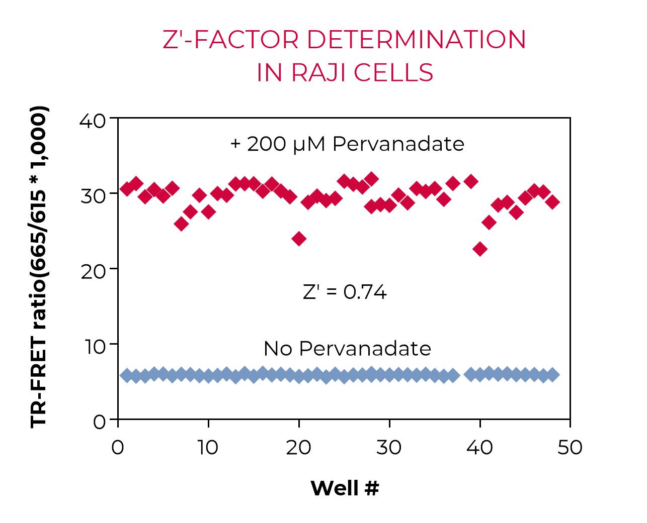 Z'-factor determination in Raji cells