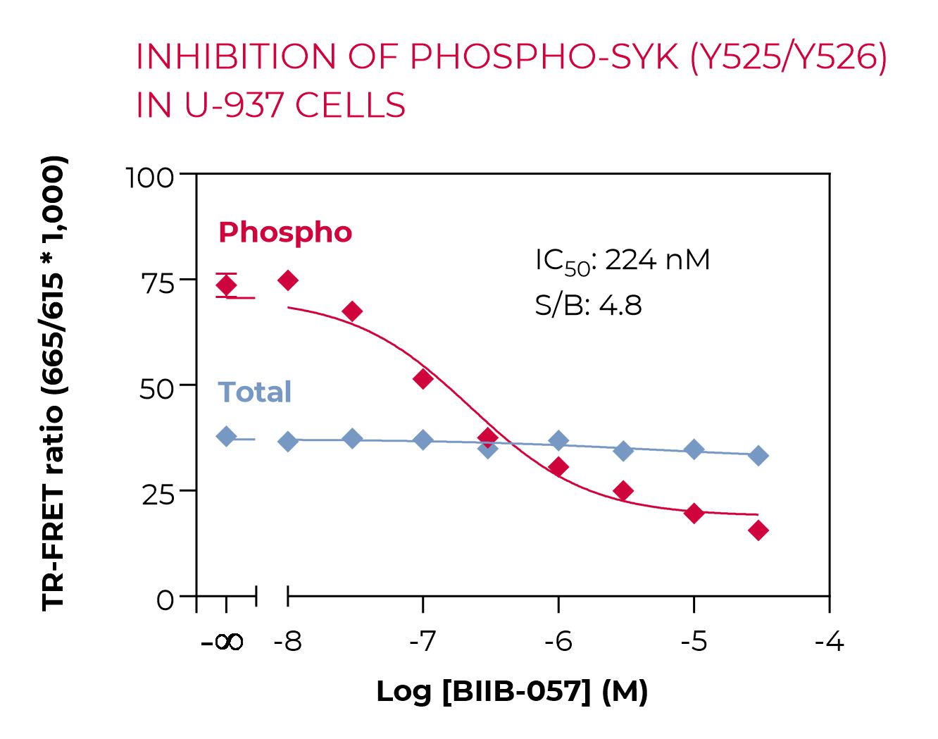 Inhibition of Phospho-SYK (Y526/Y526) in U-937 cells