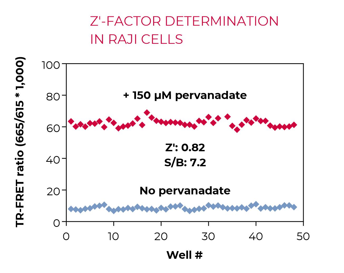 Z'-factor determination in Raji cells