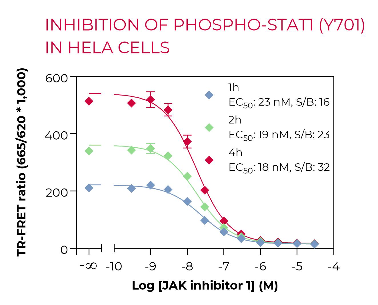 High Performance Phospho-STAT1 inhibition in HeLa cells