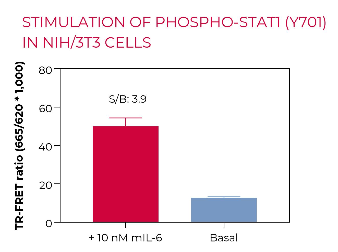 High Performance Phospho-STAT1 in NIH/3T3