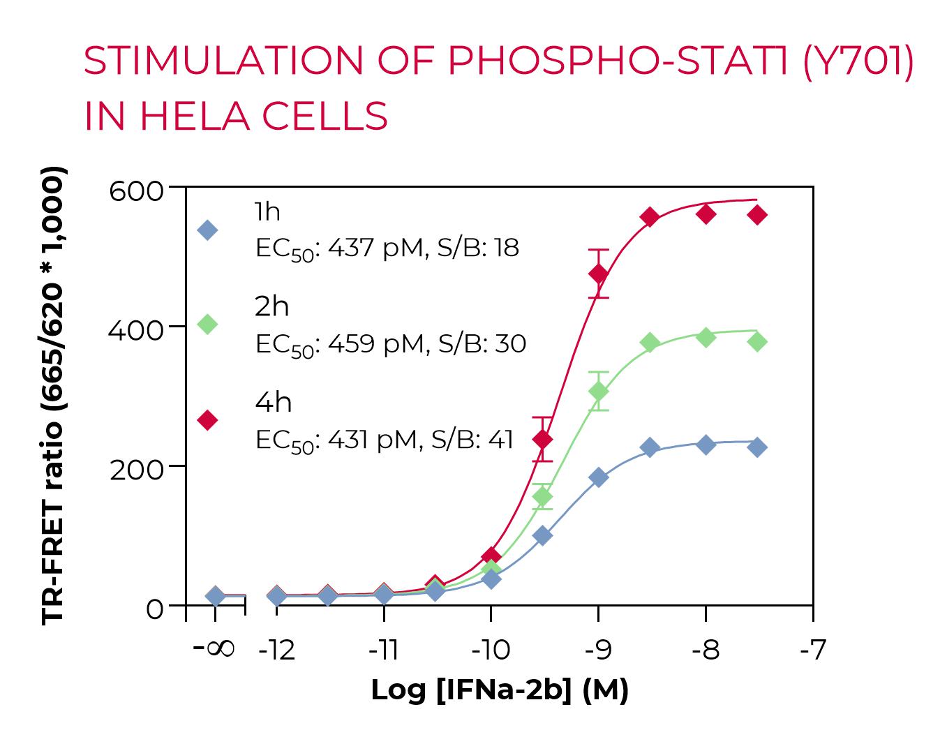 High Performance Phospho-STAT1 stimulation in HeLa cells