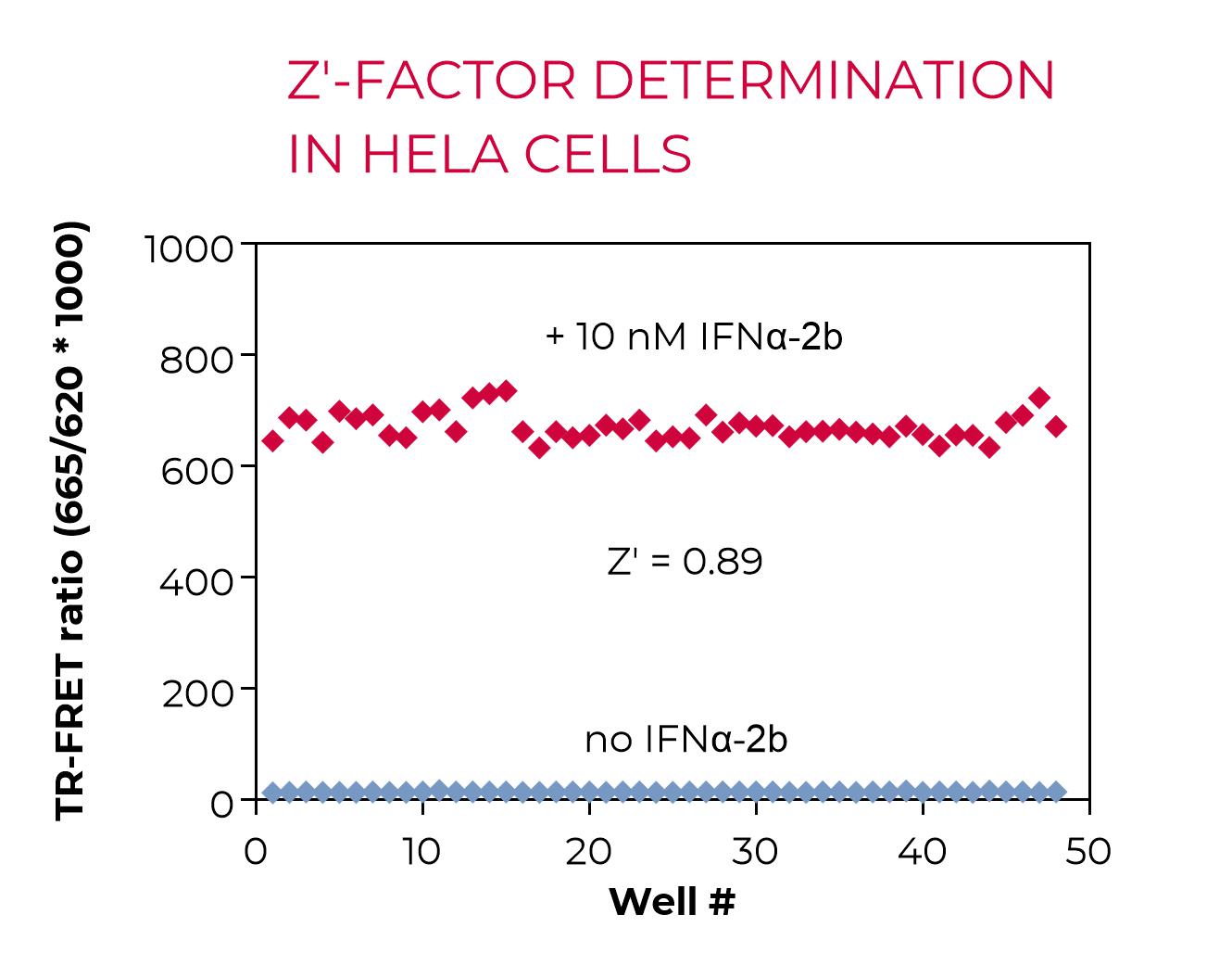 High Performance Phospho-STAT1 - Z'-factor