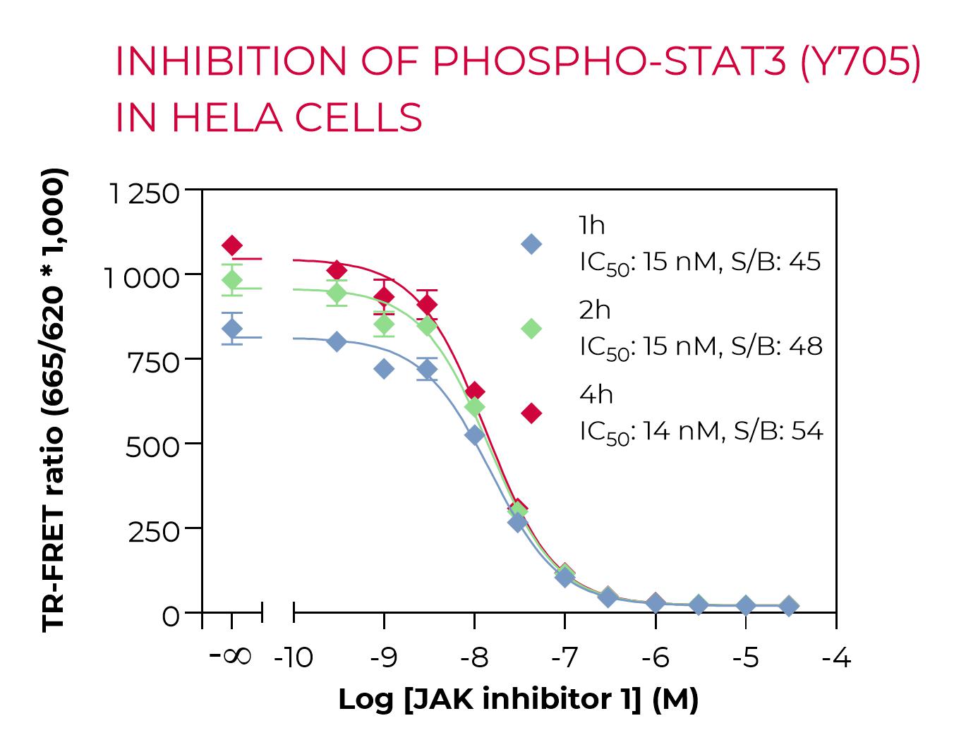 Inhibition of Phospho-STAT3 (Y705) in HeLa cells