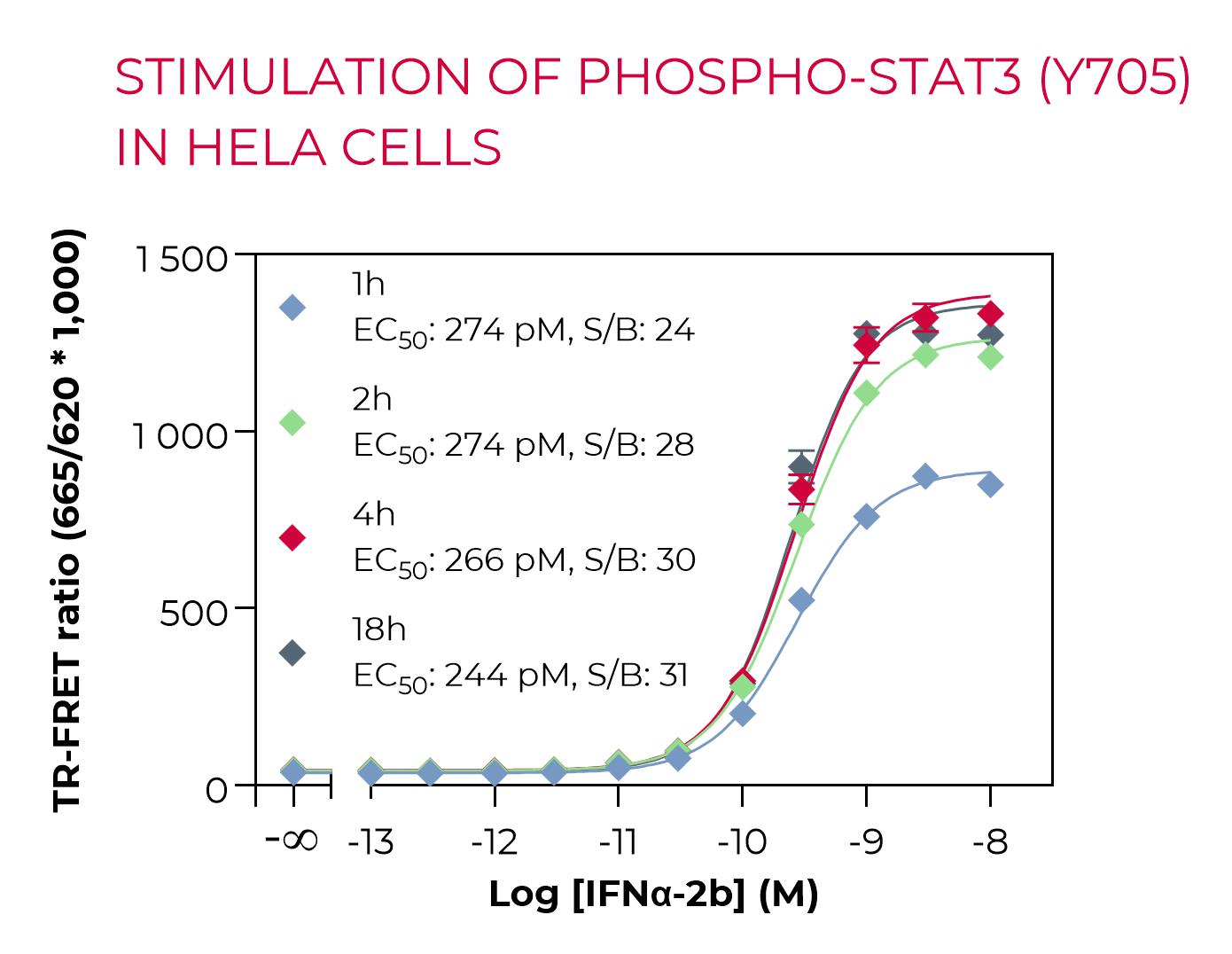 Stimulation of Phospho-STAT3 (Y705) in HeLa cells