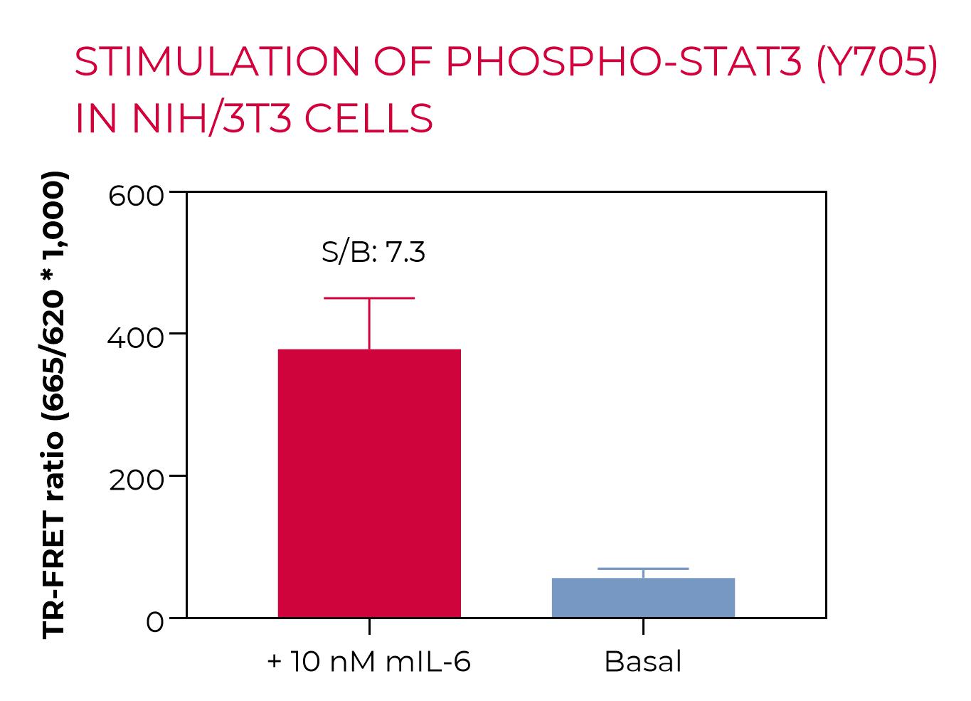 Stimulation of Phospho-STAT3 (Y705) in NIH/3T3 cells