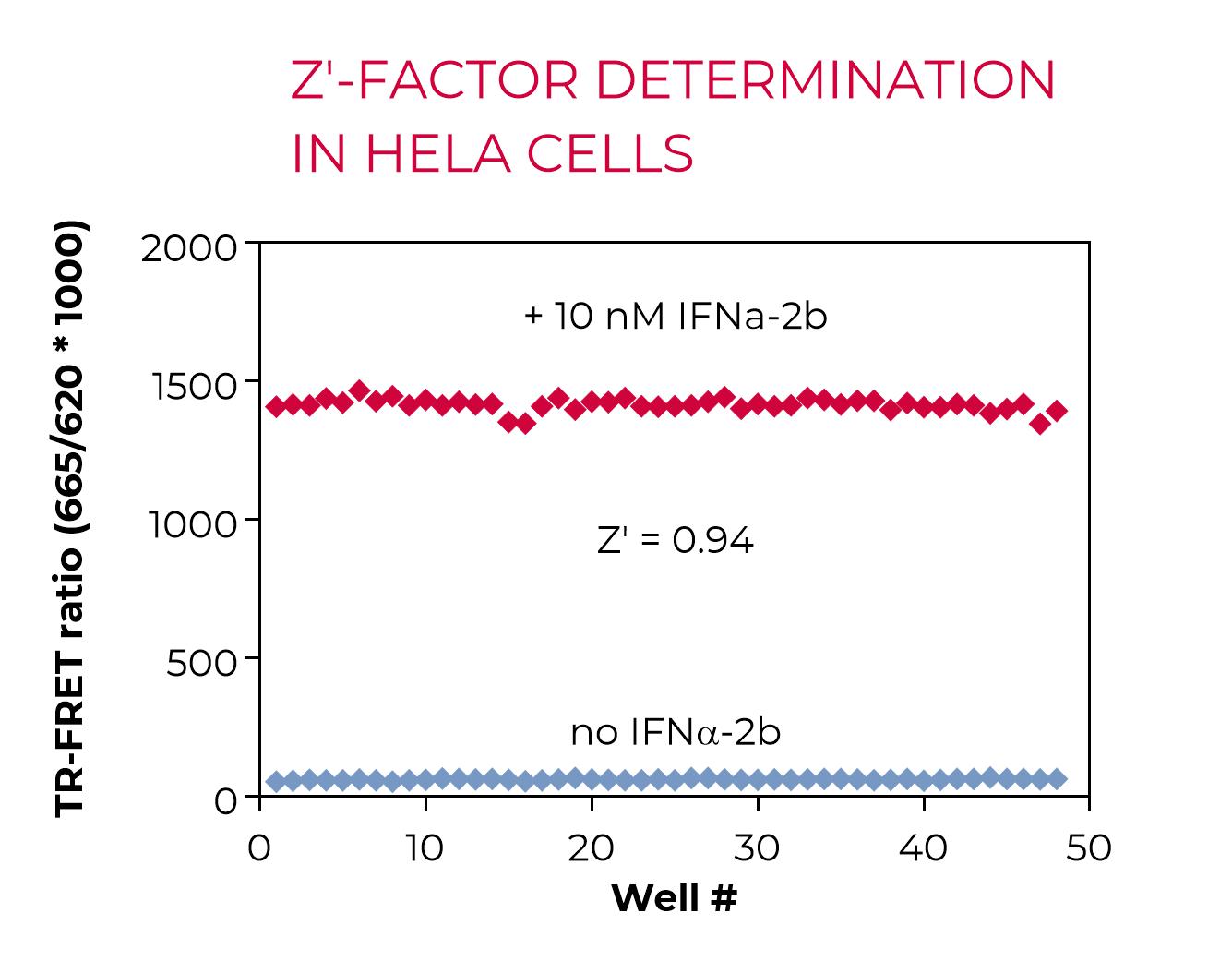 Z'-factor determination in HeLa cells