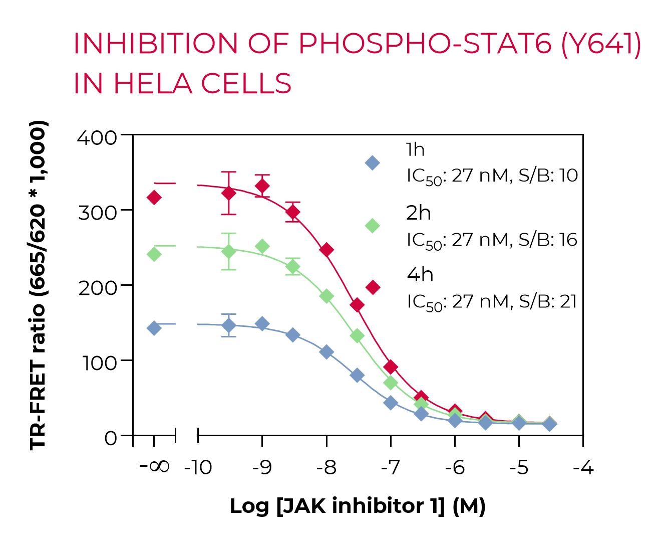 Inhibition of Phospho-STAT6 (Y641) in HeLa cells