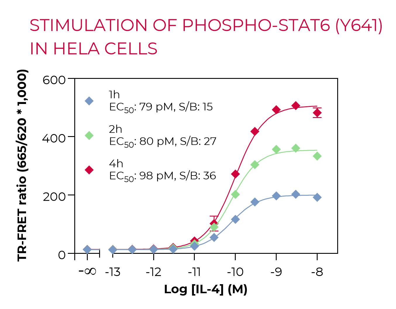 Stimulation of Phospho-STAT6 (Y641) in HeLa cells