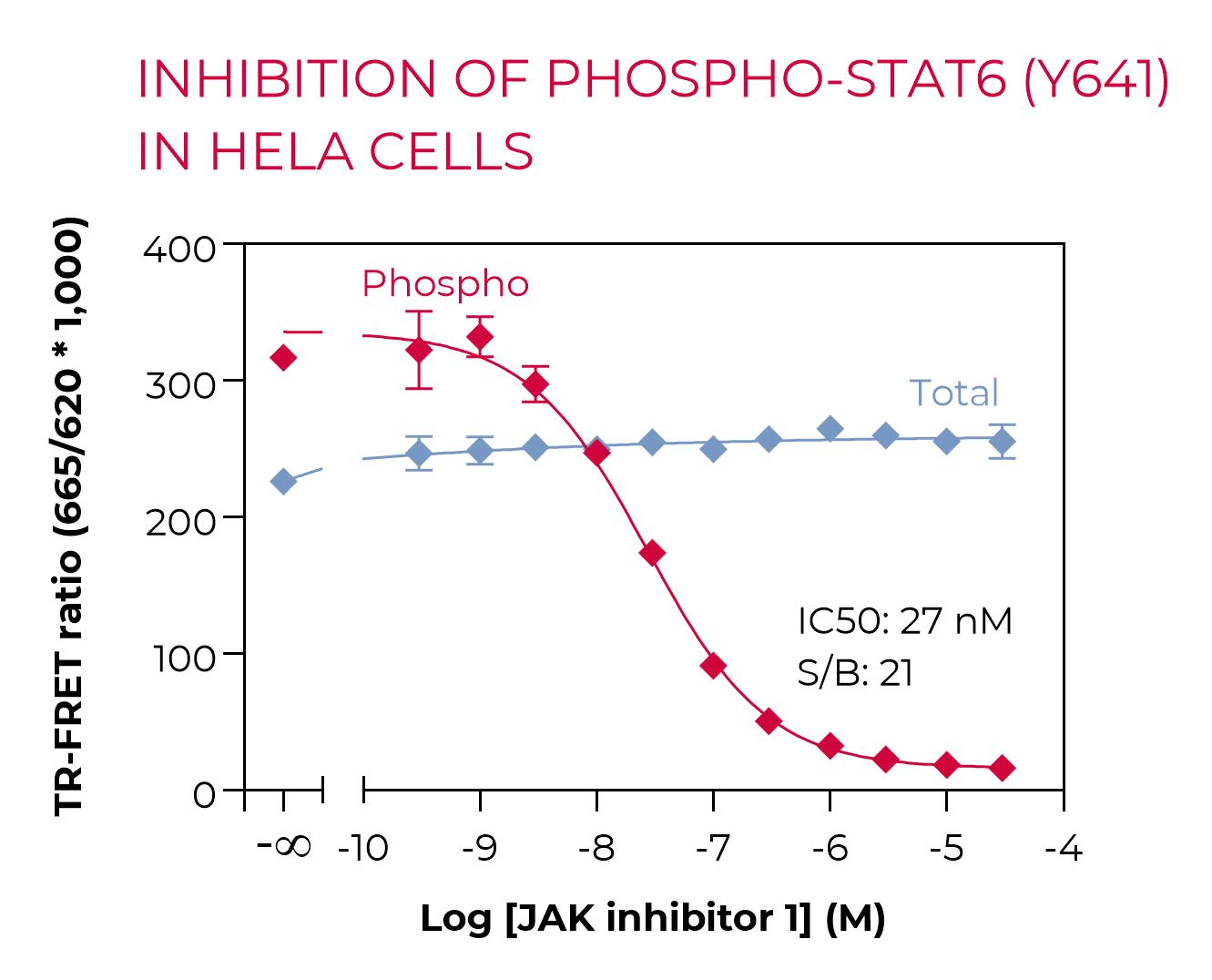 Inhibition of Phospho-STAT6 (Y641) in HeLa cells