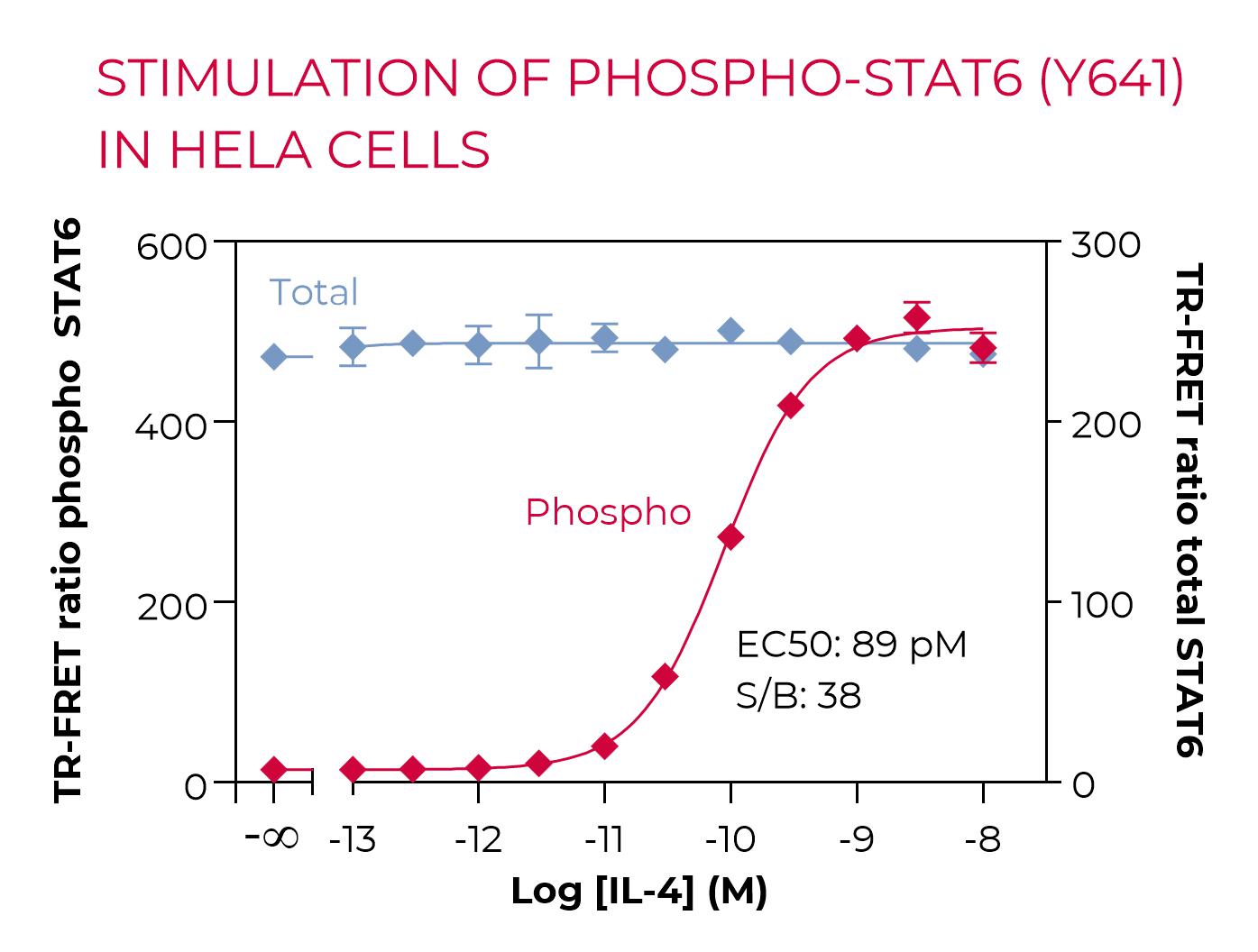 Stimulation of Phospho-STAT6 (Y641) in HeLa cells