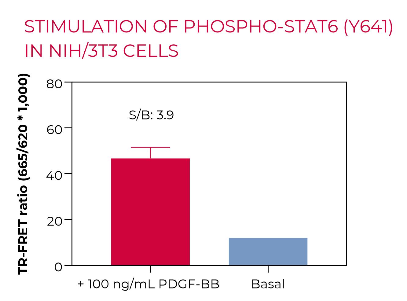 Stimulation of Phospho-STAT6 (Y641) in NIH/3T3 cells