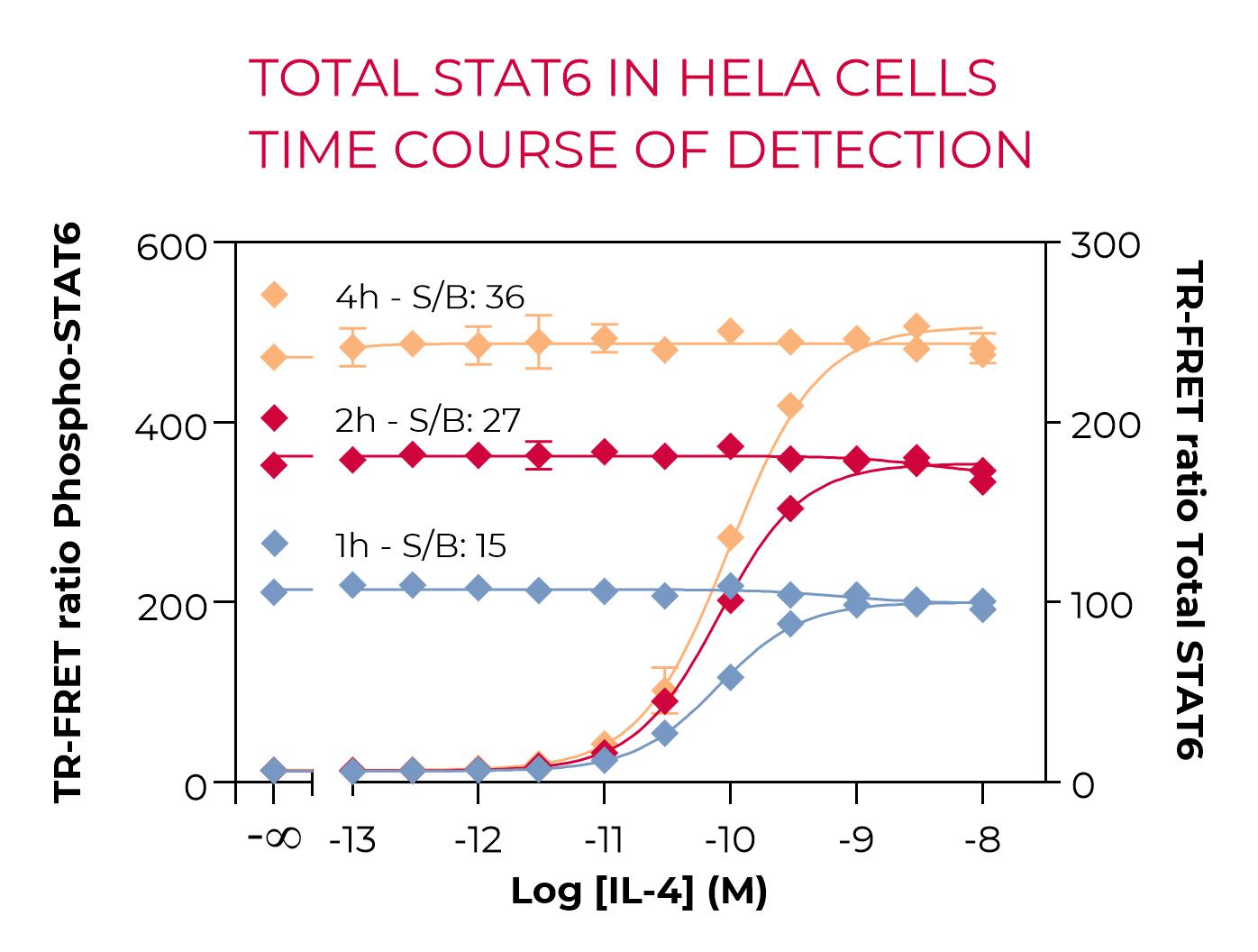 Total SAT6 (Y641) in HeLa cells-Time course of detection