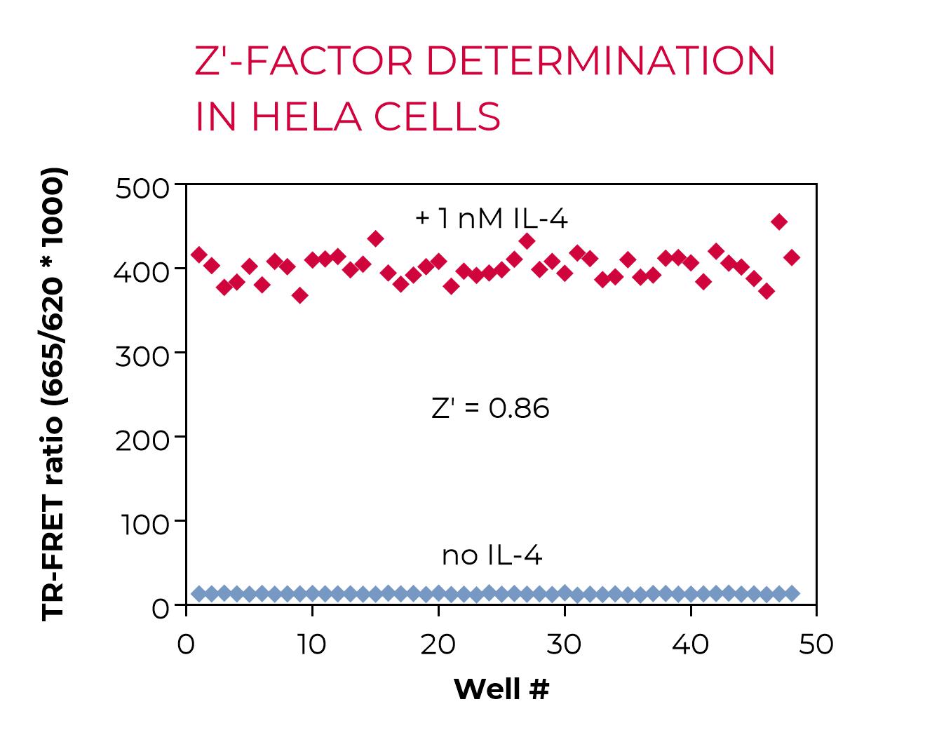 Z'-factor determination in HeLa cells