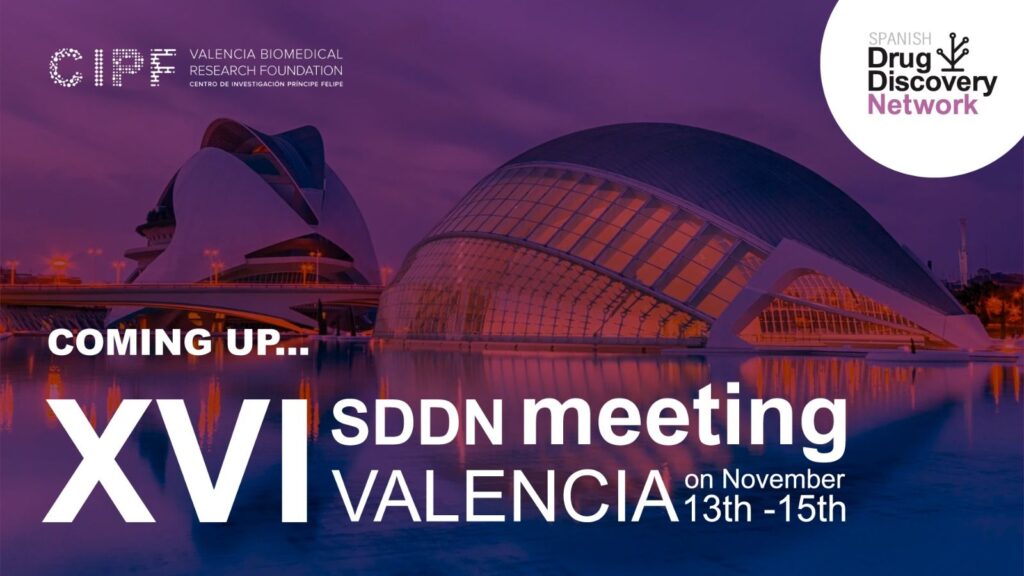 XVI SDDN Meeting