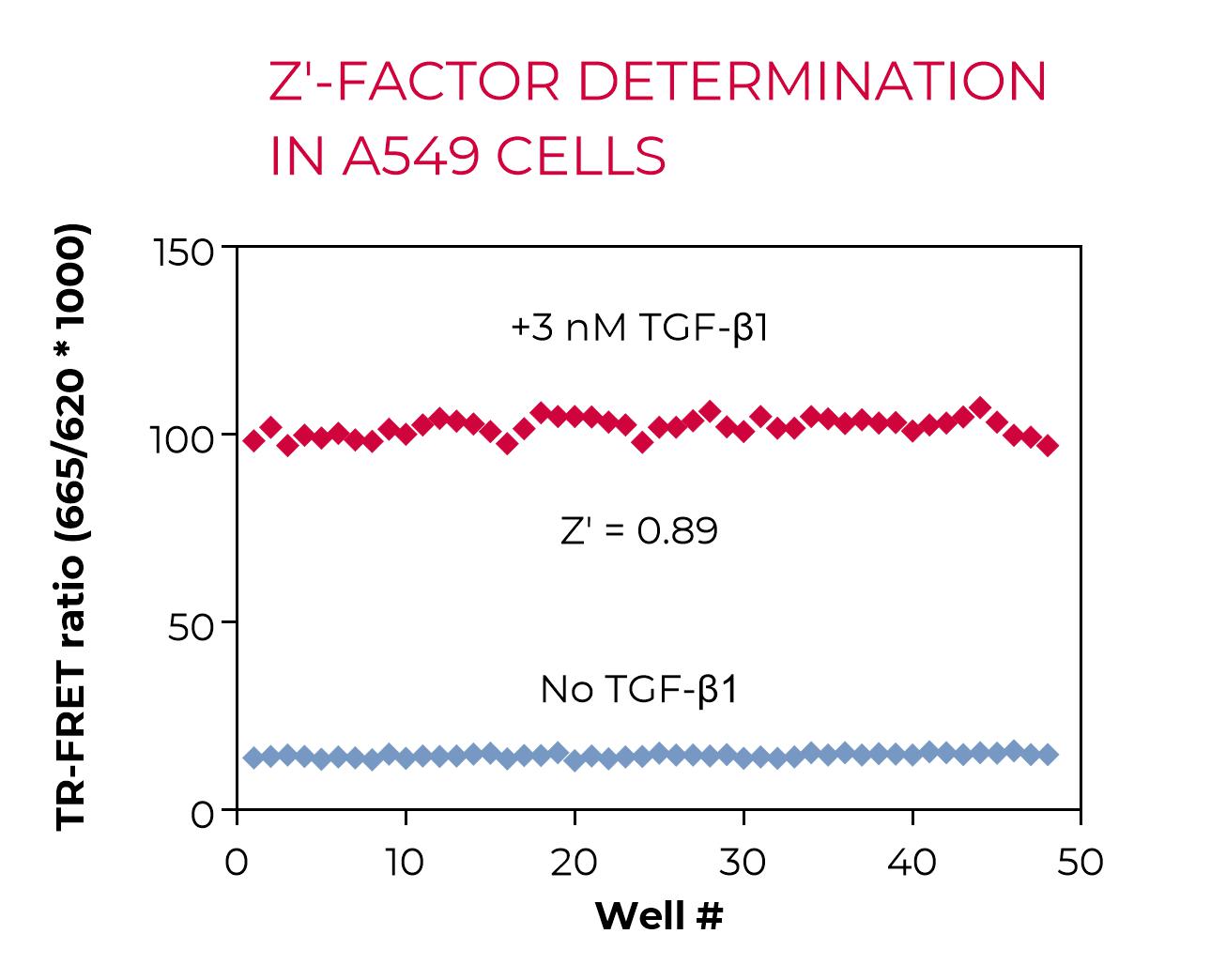 Z'-factor determination in A549 cells