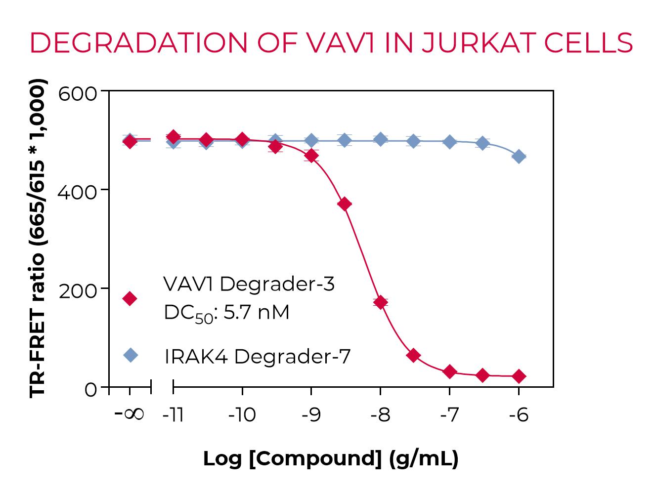 Degradation of Total VAV1 by VAV1 Degrader-3 in A549 cells