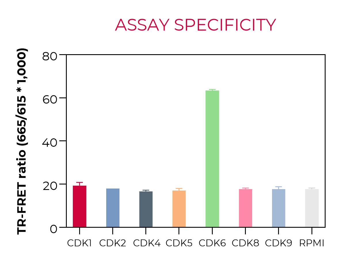 CDK6 assay specificity