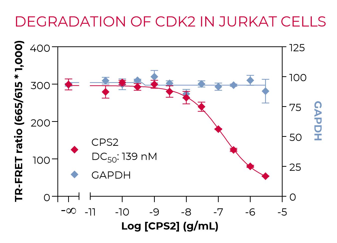 Degradation of Total CDK2 by CPS2 degrader in Jurkat cells