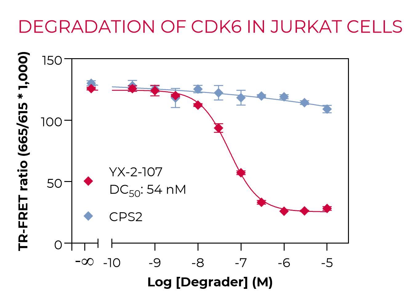 Degradation of Total CDK6 by YX-2-107 in Jurkat cells