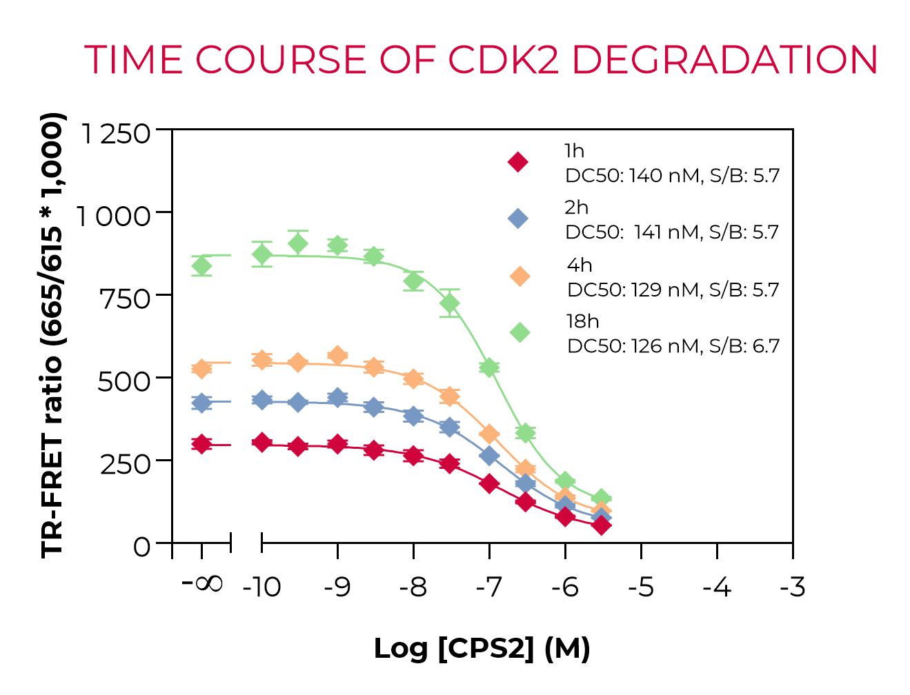 Time course of CDK2 degradation by CPS2 degrader