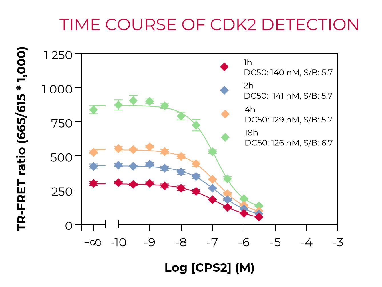 Time course of CDK2 detection